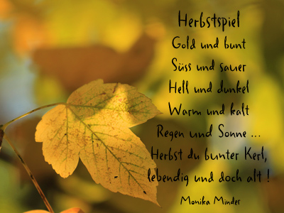 herbstspiel.jpg